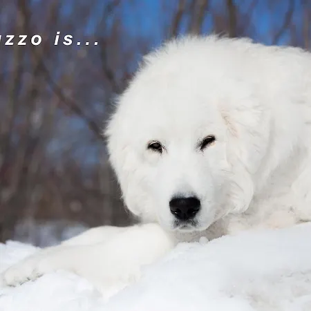 Characteristic Restored With 360 Degree Views Vakantiehuis