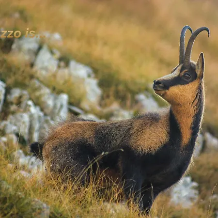 Characteristic Restored With 360 Degree Views Montefino