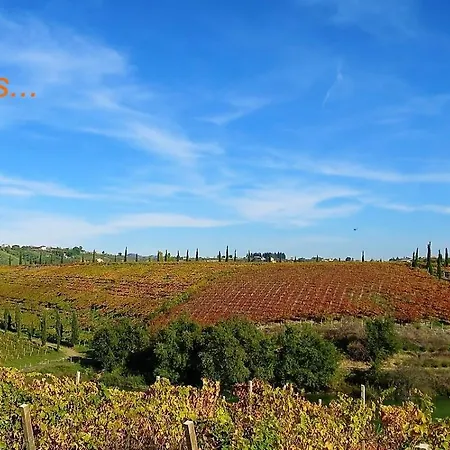 Characteristic Restored With 360 Degree Views * Montefino