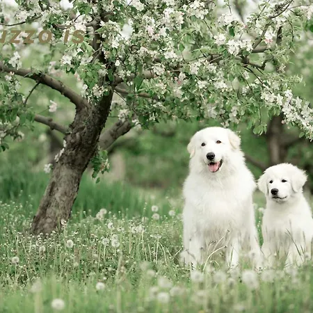 Characteristic Restored With 360 Degree Views Vakantiehuis *