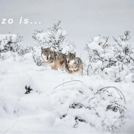 Characteristic Restored With 360 Degree Views Casa de Férias Montefino