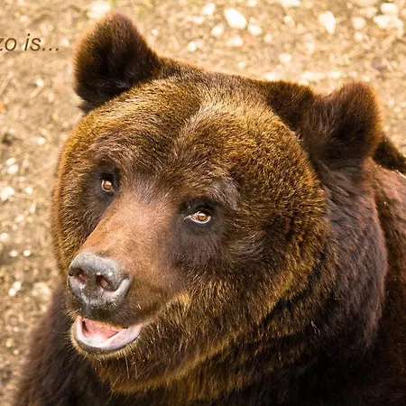 Characteristic Restored With 360 Degree Views *