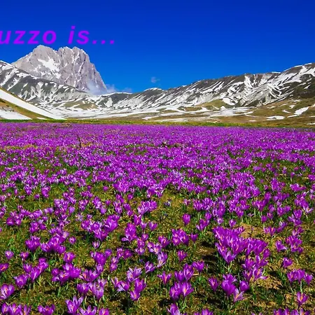 Characteristic Restored With 360 Degree Views Vakantiehuis *