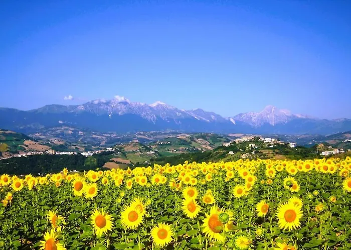 Characteristic Restored With 360 Degree Views Σπίτι διακοπών *