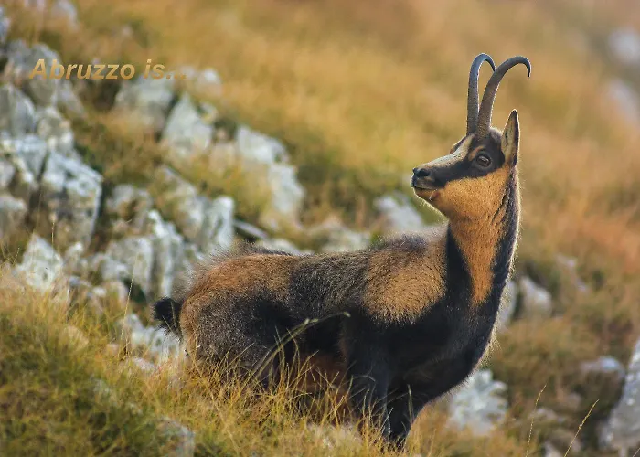 Characteristic Restored With 360 Degree Views Montefino