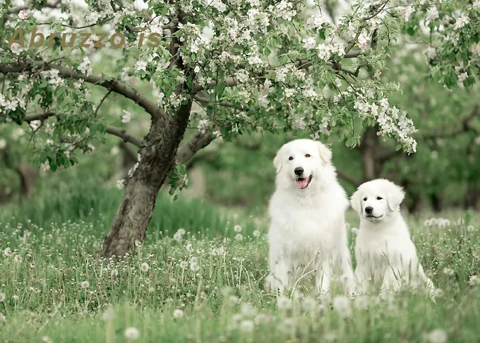 Characteristic Restored With 360 Degree Views 別荘 *