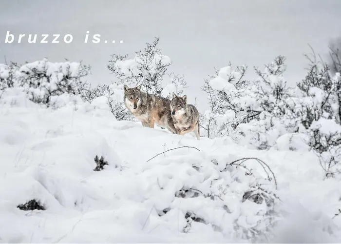 Characteristic Restored With 360 Degree Views 別荘 Montefino