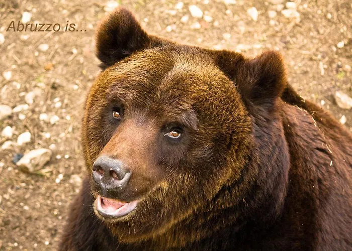 Characteristic Restored With 360 Degree Views *