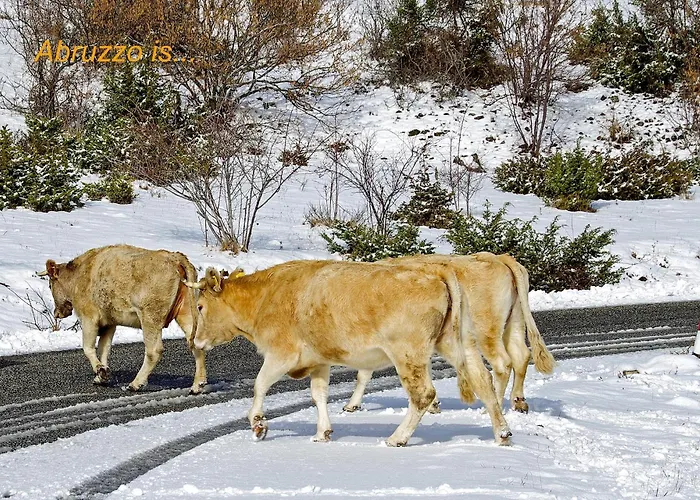 Characteristic Restored With 360 Degree Views Σπίτι διακοπών