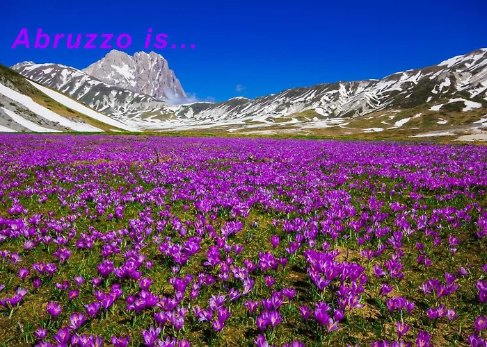 Characteristic Restored With 360 Degree Views 別荘 *