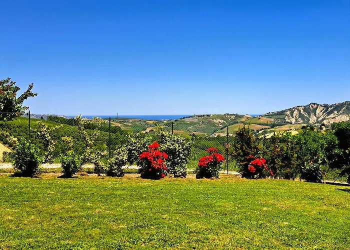 Characteristic Restored With 360 Degree Views